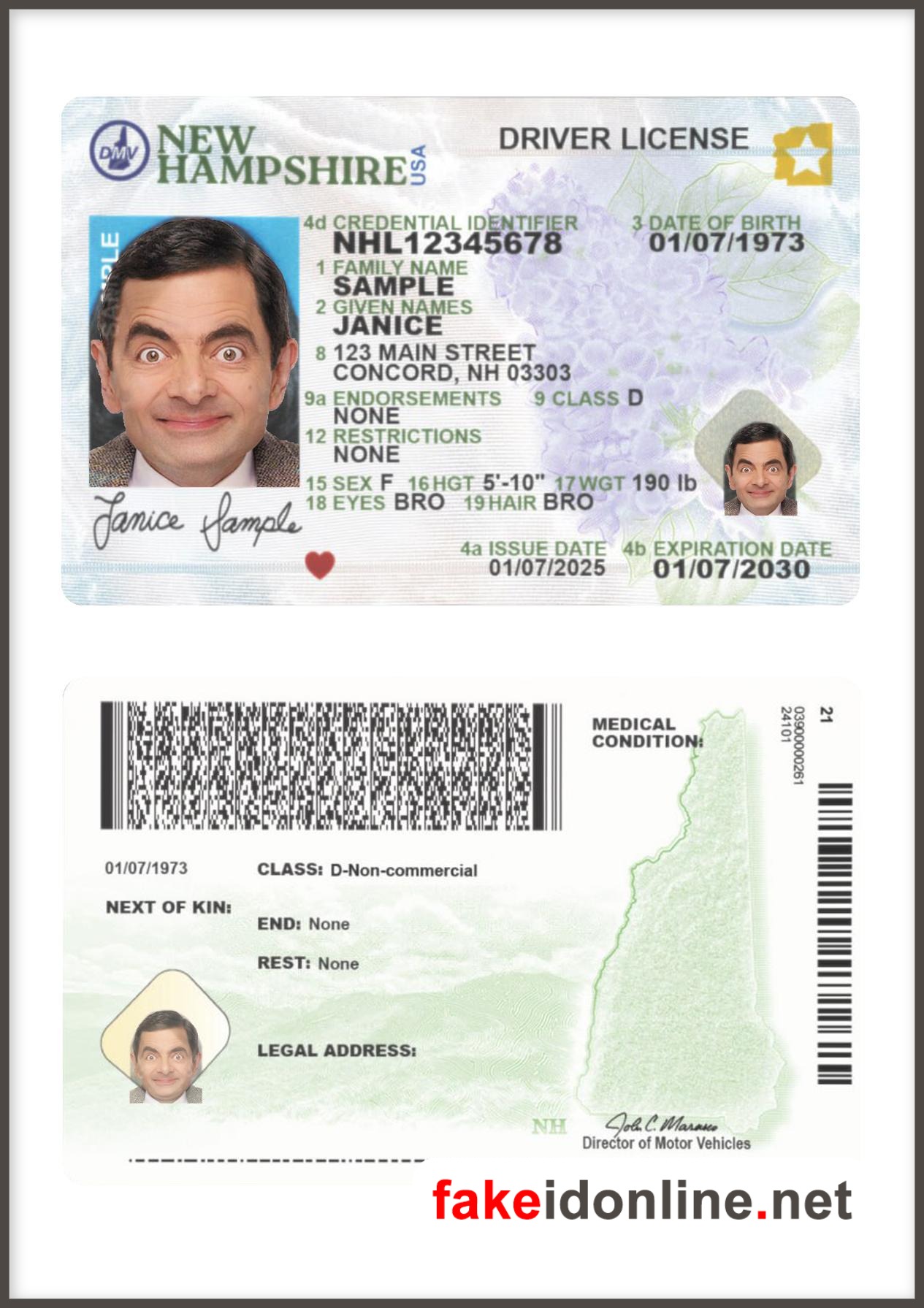 New Hampshire Driver License New 1200dpi